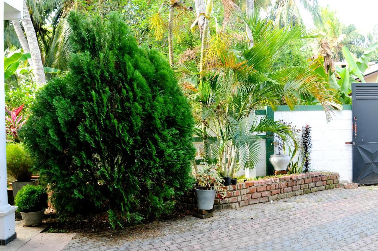 Myr-O Homestay Kombichankulama Esterno foto