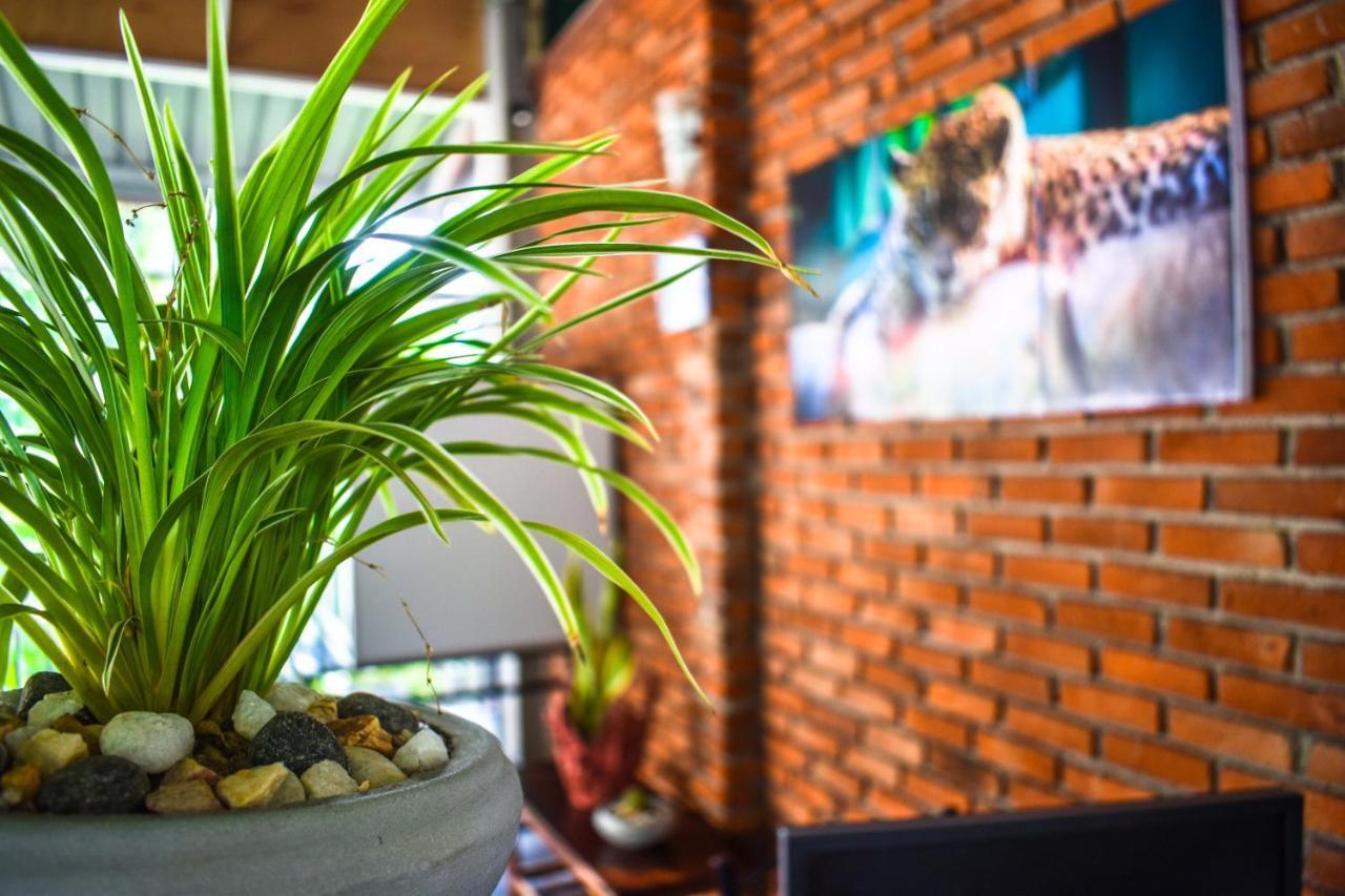 Myr-O Homestay Kombichankulama Esterno foto